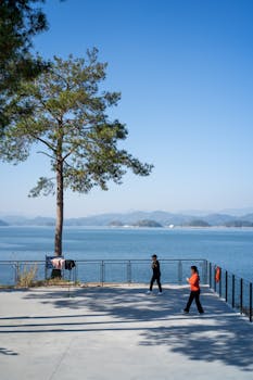 东契奇领衔湖人逆袭火箭；詹姆斯肘伤不影响团队胜局，比赛高潮迭起。