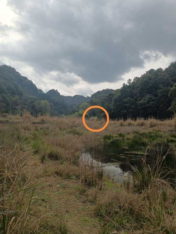  退休后选择水库孤岛，常德老局长十年自给自足；虽有喂养家禽的琐碎烦恼，却乐在其中。 健康养生 退休后选择水库孤岛，常德老局长十年自给自足；虽有喂养家禽的琐碎烦恼，却乐在其中。 健康养生