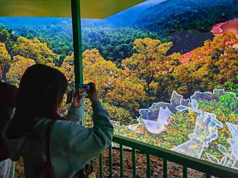 灵活休假机制：激活春日旅游市场的倍增效应 文化旅游 灵活休假机制：激活春日旅游市场的倍增效应 文化旅游
