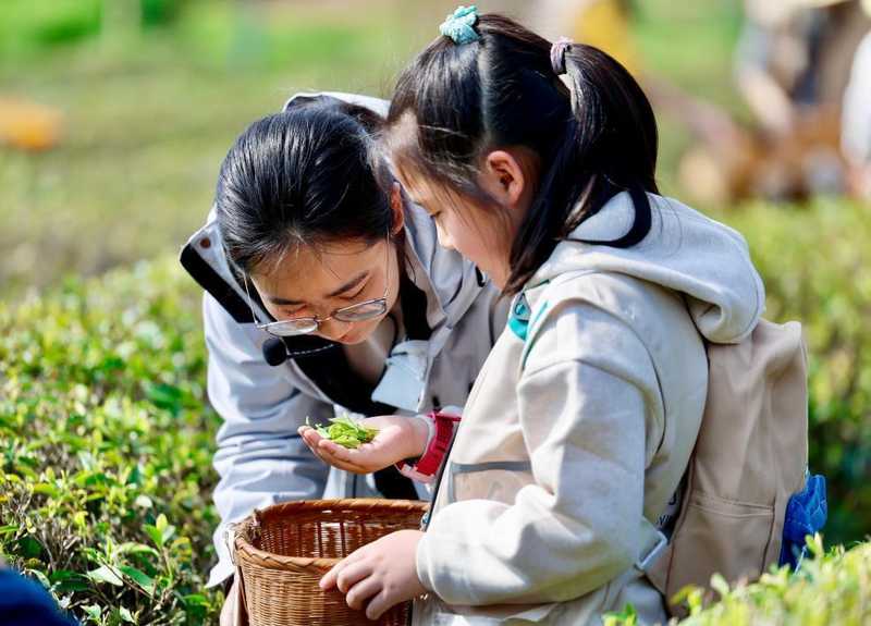  灵活休假机制：激活春日旅游市场的倍增效应 文化旅游 灵活休假机制：激活春日旅游市场的倍增效应 文化旅游