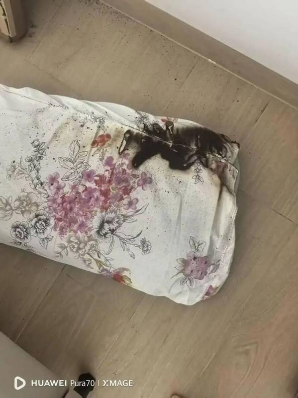  清明假期的惊魂72小时：一个广州家庭与充电宝爆燃的真实经历 新闻 清明假期的惊魂72小时：一个广州家庭与充电宝爆燃的真实经历 新闻 清明假期的惊魂72小时：一个广州家庭与充电宝爆燃的真实经历 新闻 清明假期的惊魂72小时：一个广州家庭与充电宝爆燃的真实经历 新闻 清明假期的惊魂72小时：一个广州家庭与充电宝爆燃的真实经历 新闻