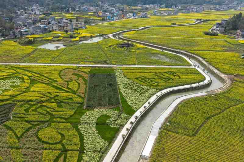 那片改变村庄的花海，是如何一年年开进村民心里的 文化旅游