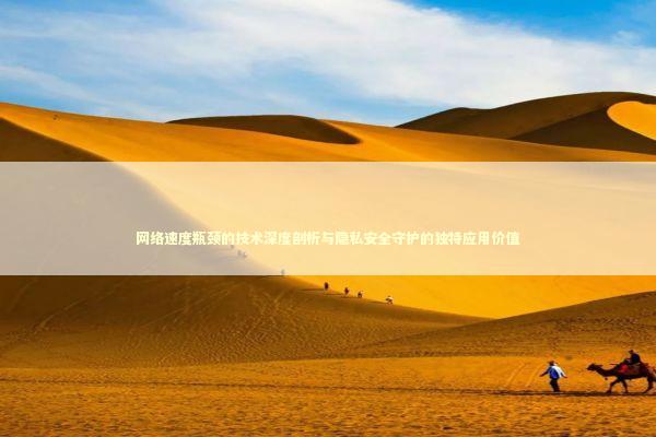 网络速度瓶颈的技术深度剖析与隐私安全守护的独特应用价值