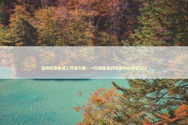 当传统零售遇上开源力量：一位创业者的电商平台选型日记
