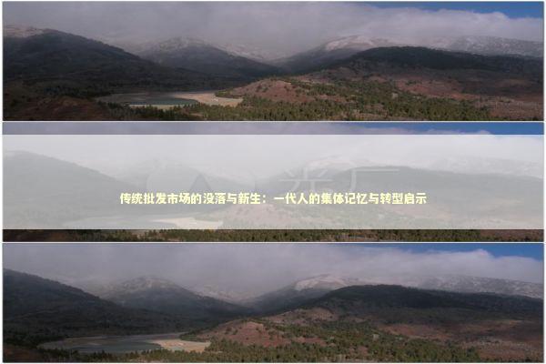 传统批发市场的没落与新生：一代人的集体记忆与转型启示 企业服务