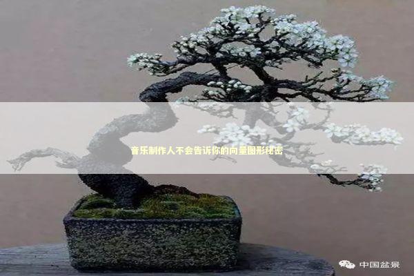 音乐制作人不会告诉你的向量图形秘密